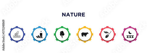 nature filled icons with infographic template. glyph icons such as sow, flower therapy, the maples tree, polar, chestnut oak tree, cultivation vector.
