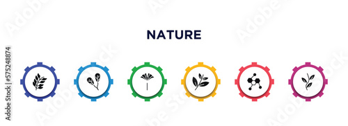 nature filled icons with infographic template. glyph icons such as bilberry leaf, obovate, ginkgo, black willow, chemical structure, pinnation vector.