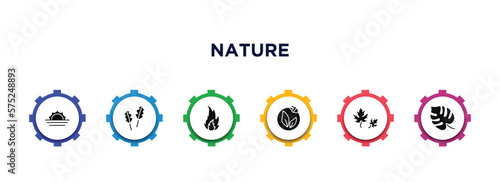 nature filled icons with infographic template. glyph icons such as landscape inside frame, pedunculate, burning flames, natural energy, dry leaf, philodendron vector.