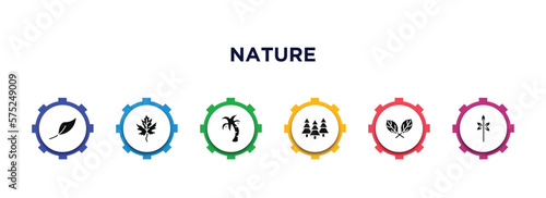 nature filled icons with infographic template. glyph icons such as orange leaf, gooseberry leaf, coconut tree standing, woods, straberry leaf, sprig with five leaves vector.