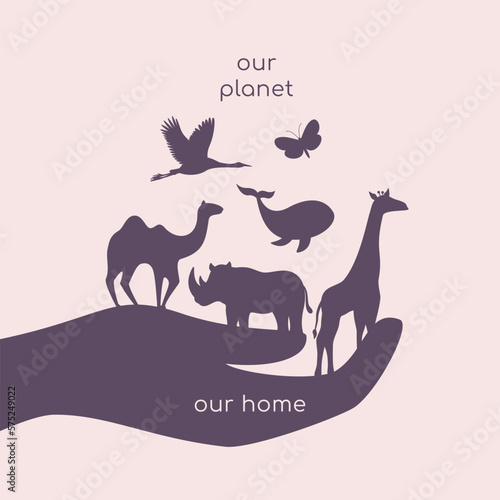 animals on the palm of hand