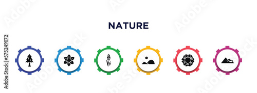 nature filled icons with infographic template. glyph icons such as pine tree, narcissus, hyacinth, hills, geranium, snowslide vector.