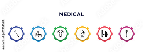 medical filled icons with infographic template. glyph icons such as medical hammer tool, illness on bed, bladder, microscope tool, adrenal gland, blood analysis vector.