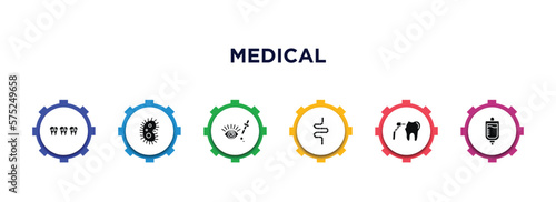 medical filled icons with infographic template. glyph icons such as braces, microbe, eye drops, intestines, dental drill, iv vector.