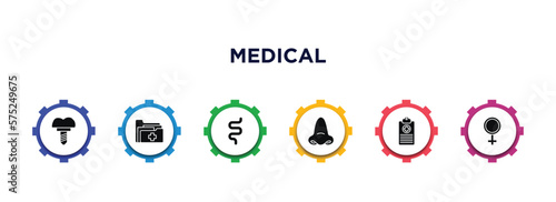 medical filled icons with infographic template. glyph icons such as implants, medical records, intestine, e, medical history, female vector.