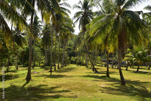 Caves, Islands, Mountains and clear beaches of Phuket