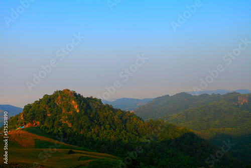 morning on the mountain sunrise there is a flower foreground