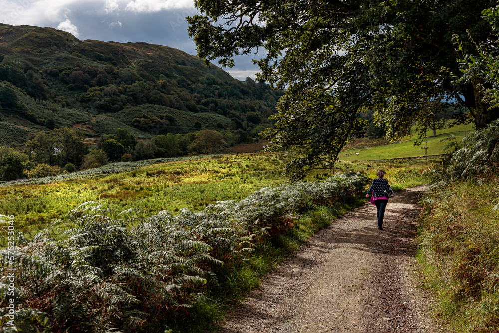 The road to Carnasserie Castle, Lochgilphead, Scotland