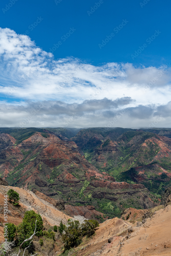 View of the Waimea Canyon State Park in Kauai, Hawaii