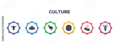 culture filled icons with infographic template. glyph icons such as skull of a bull, meat pie, australian emu, brazil flag, steamed bread, horse head vector.