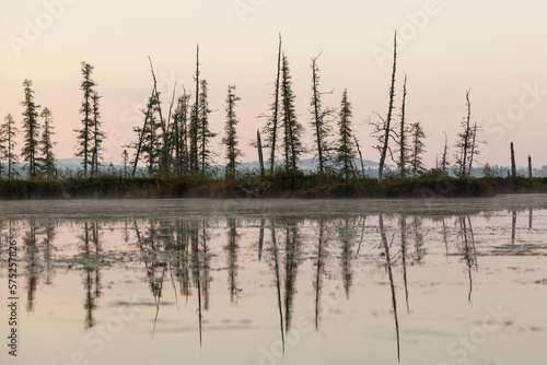 Reflection Of Coniferous Trees On The Edge Of Spencer Pond, Northern Maine
