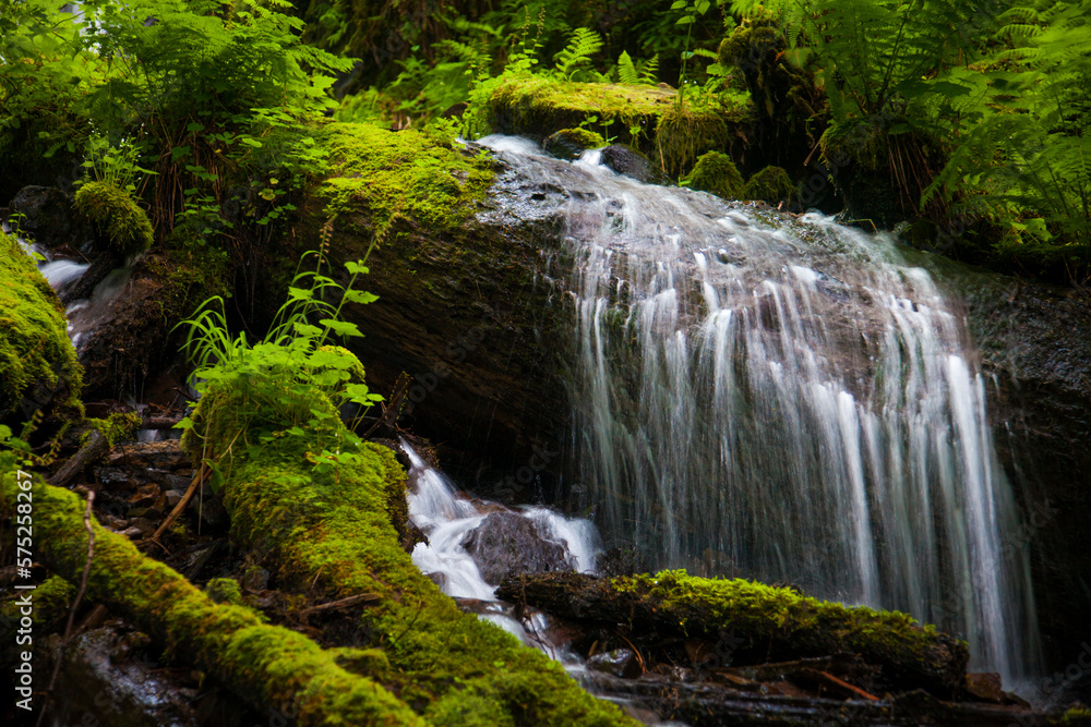 A small waterfall over a fallen tree on Wahkeena Creek A small waterfall over a fallen tree on Wahkeena Creek