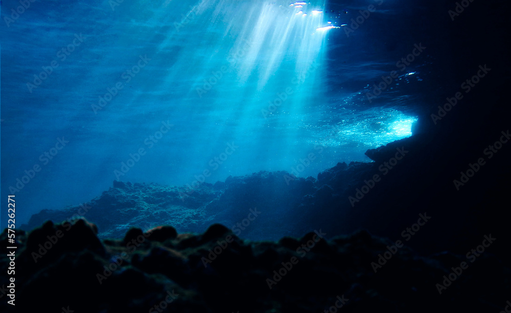 Artistic underwater photo of magic landscape in rays of sunlight