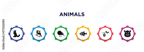 animals filled icons with infographic template. glyph icons such as sable, gazelle, kiwi bird, clownfish, cocoon, hog vector.