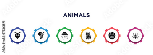 animals filled icons with infographic template. glyph icons such as goat, wasp, medusa, siberian husky, lion, fly vector.
