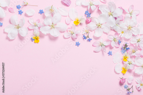 spring flowers on pink background