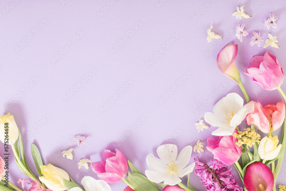 multicolored spring flowers on  purple background - obrazy, fototapety, plakaty 