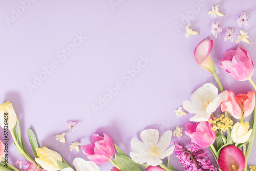 Photographie multicolored spring flowers on  purple background