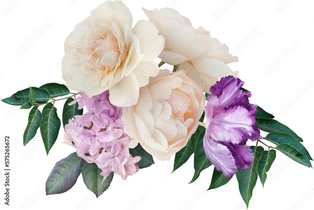 Bouquet of lilac, white roses and purple tulip isolated on a transparent background. Png file.  Floral arrangement. . Can be used for invitations, greeting, wedding card.
