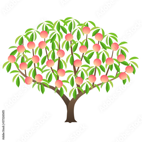 Peach tree with lots of fruit