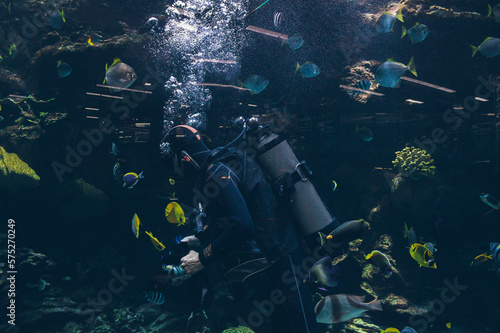Scuba diver feeds sea fish in water of aquarium