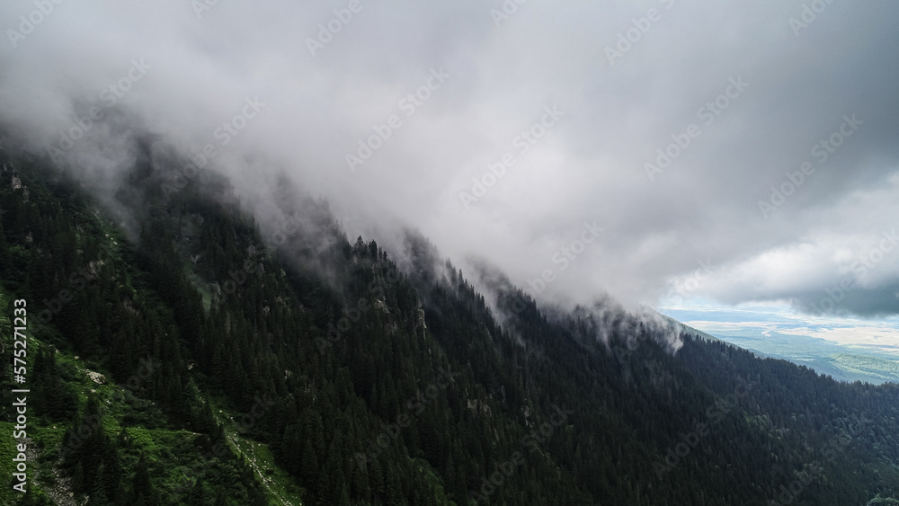 Foggy morning in a forest. Aerial view of clouds coming out of a forest in a mountain landscape. Foggy morning in a forest. Aerial view of clouds coming out of a forest in a mountain landscape.