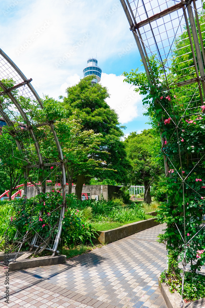 Naklejka premium ポーリン橋と接続する山下公園・世界の広場(神奈川県横浜市)