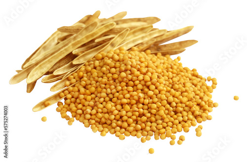 Fresh golden mustard with empty pods