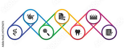 medical filled icons with infographic template. glyph icons such as pancreas, prescription, epidermis, intestine, germs, molar, notepad vector.