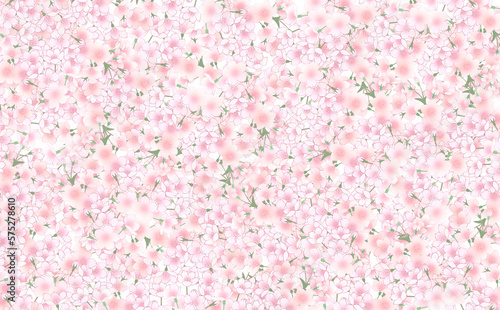 一面の満開の桜　やや大きめ