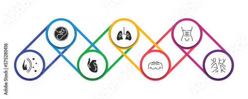 human body parts filled icons with infographic template. glyph icons such as human fetus, human lungs, abdomen, immune system, heart, men chest, artery vector.