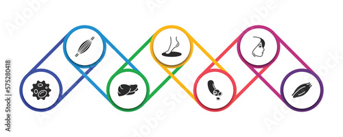 human body parts filled icons with infographic template. glyph icons such as human muscle, foot side view, face of a woman, white blood cell, human liver, blood vessel, muscle fiber vector.