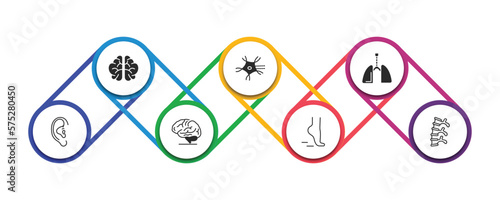 human body parts filled icons with infographic template. glyph icons such as brain upper view, neuron, respiratory system, human ear, brain body organ, tiptoe feet, human spine vector.