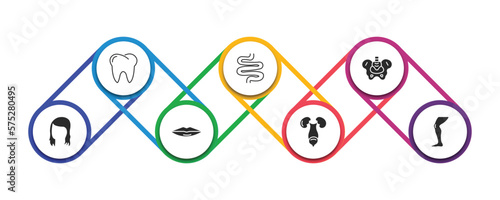 human body parts filled icons with infographic template. glyph icons such as human teeth, small intestine, hip bone, woman dark long hair, thin lips, excretory system, men leg vector.