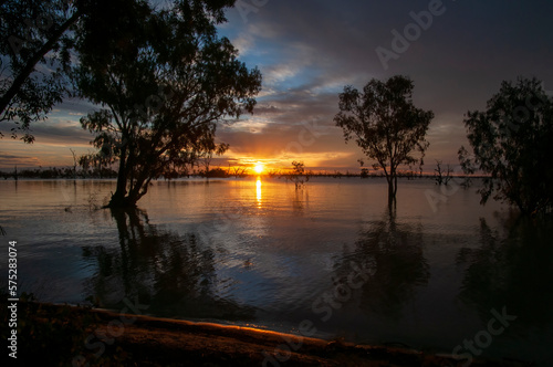 Menindee Australia, trees surrounded by water twilight sky over lake