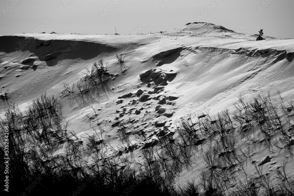 Bieszczady