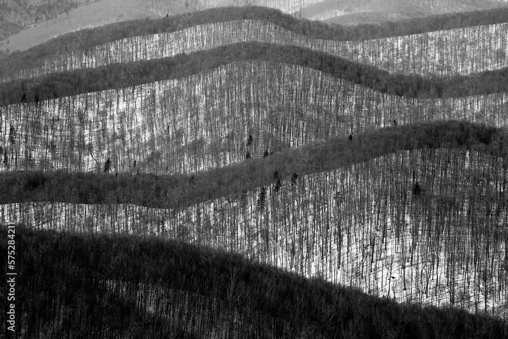 Bieszczady