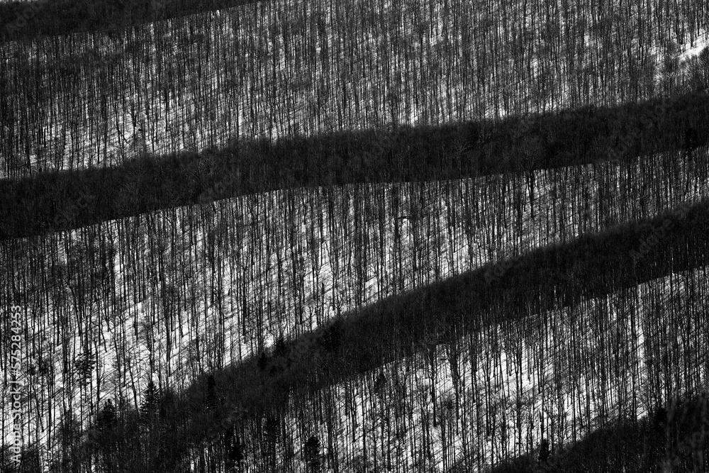 Bieszczady