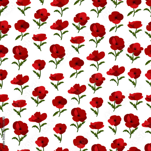 seamless pattern with poppy flowers