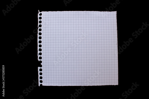 Ripped white graph paper on black background. Torn checkered paper piece with copy space.
