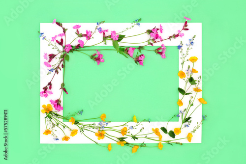 Buttercup Red Campion and Speedwell flower Background Frame