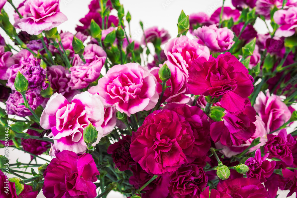 Red carnations bouquet close-up