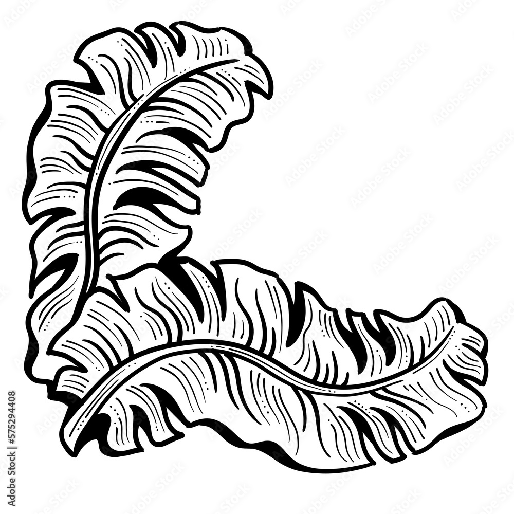 Banana leaves decorative elements for banner design, greeting card, holiday poster. Hand drawn illustration, botanical summer vacation theme. Nature ecological, romantic garden. relaxing spa. Banana leaves decorative elements for banner design, greeting card, holiday poster. Hand drawn illustration, botanical summer vacation theme. Nature ecological, romantic garden. relaxing spa.