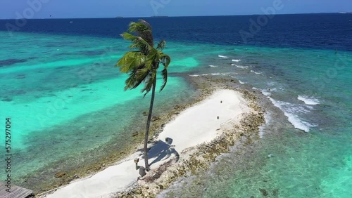 Aerial: Drone Panning Shot Of Tall Tropical Tree On Beach Island In Sea During Sunny Day - Thulusdhoo, Maldives photo