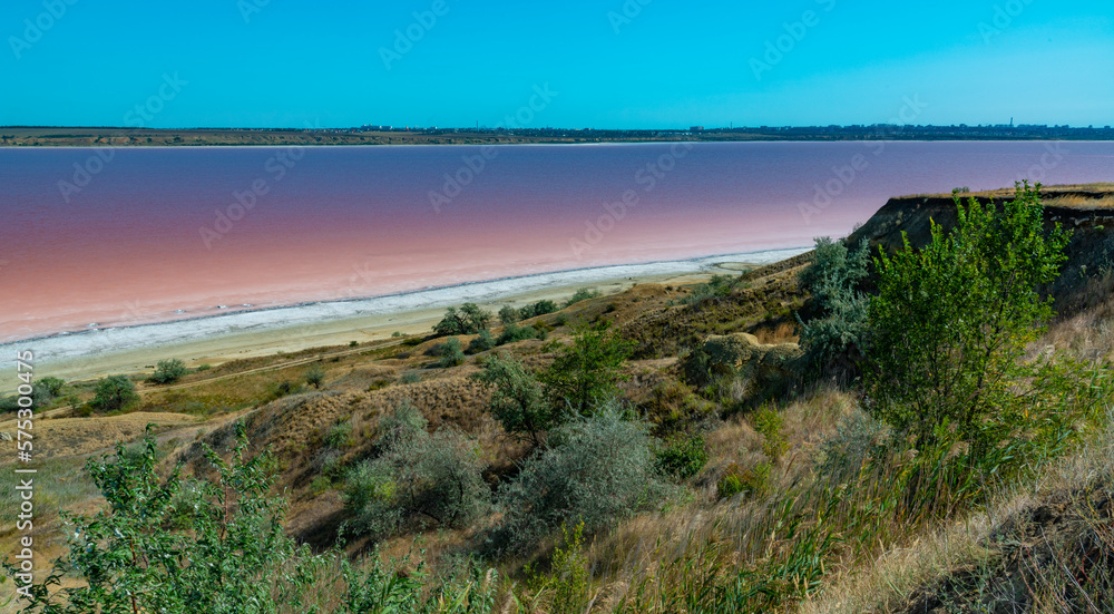 Natural landscape of the south of Ukraine, View of the drying Kuyalnitsky estuary with rose water, in which Artemia salina and Dunaliella algae live
