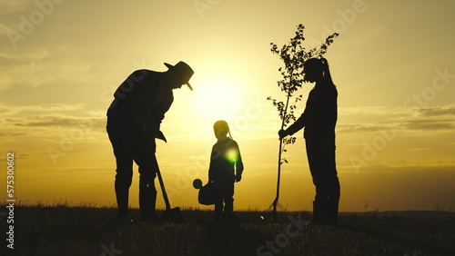 Agriculture. child father mother walk across field sunset plant tree. fresh seedling plant ground rays sunlight. farming concept. happy family. childhood countryside. planting trees soil. watering