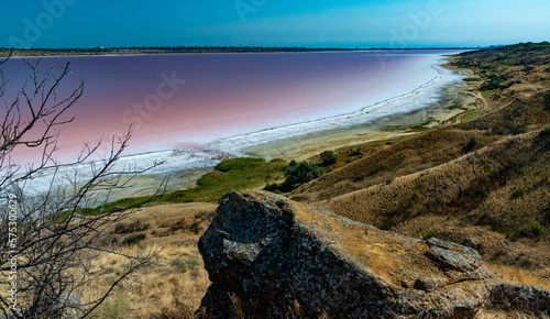 Natural landscape of the south of Ukraine, View of the drying Kuyalnitsky estuary with rose water, in which Artemia salina and Dunaliella algae live © Oleg Kovtun