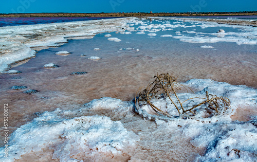 Drying and shallowing of the Kuyalnitsky estuary, salt in the form of crystalline forms in a hypersaline reservoir, ecological disaster