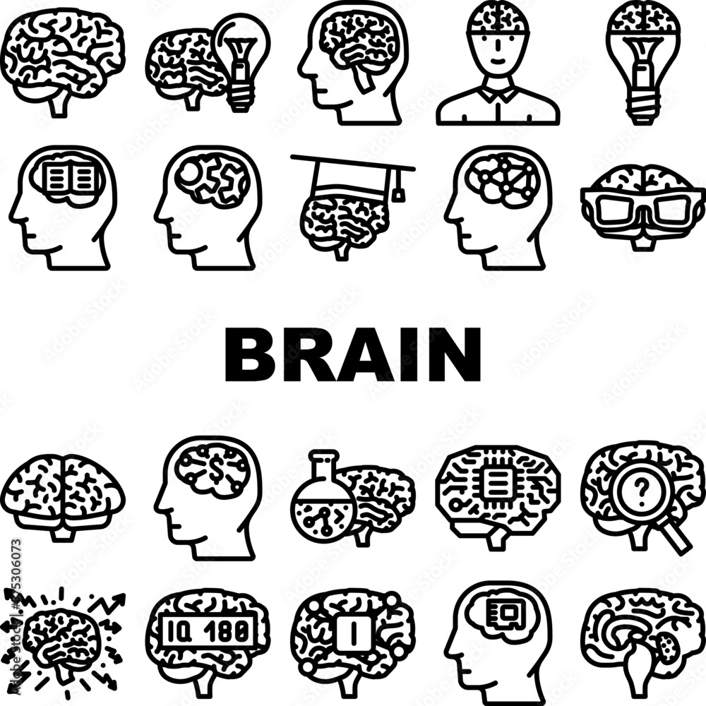Fototapeta premium brain mind human head icons set vector