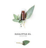 Eucalyptus aromatherapy essential oil in bottle and leaves isolated.